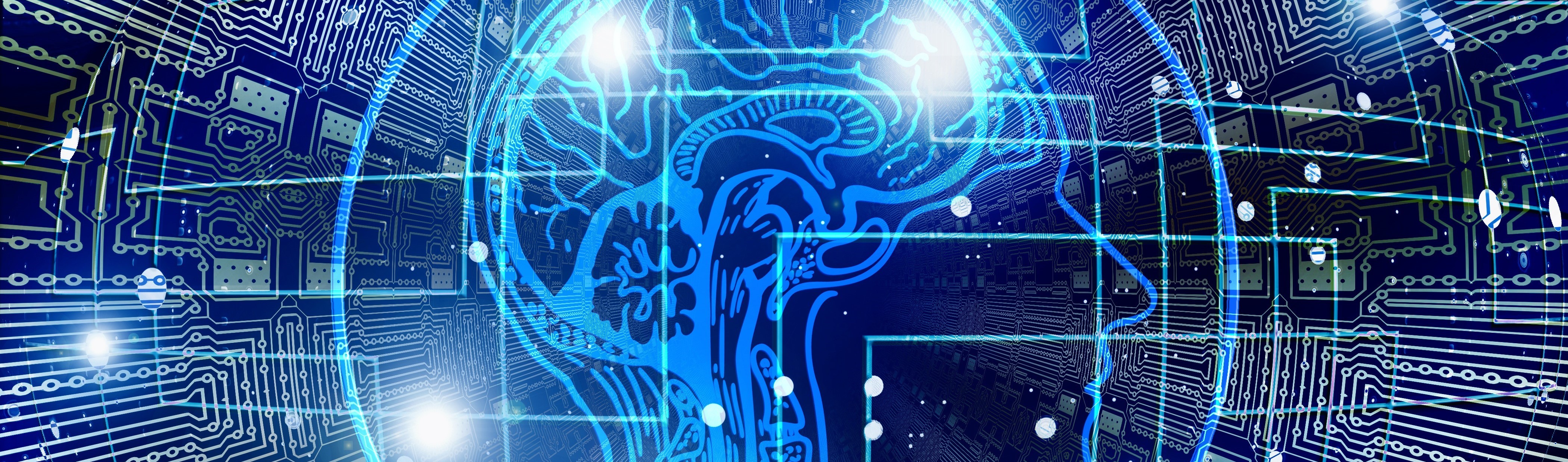 Entrophy: The Disruptive Forces Shaping Our Lives